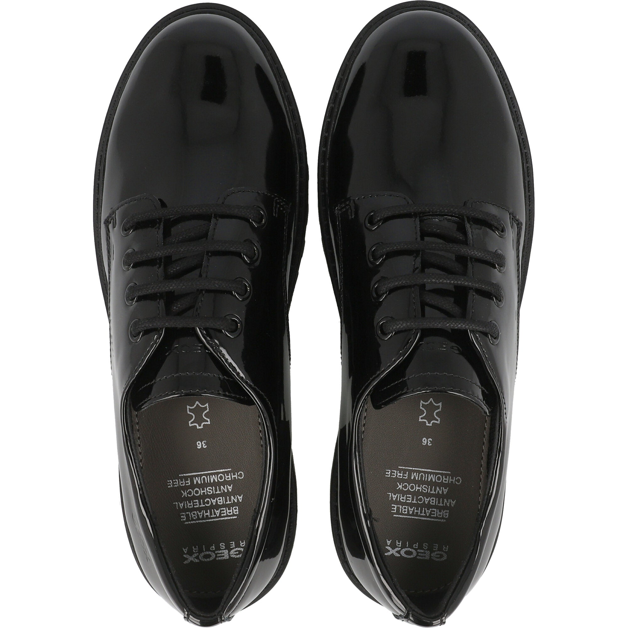 Geox Casey Black School Shoes