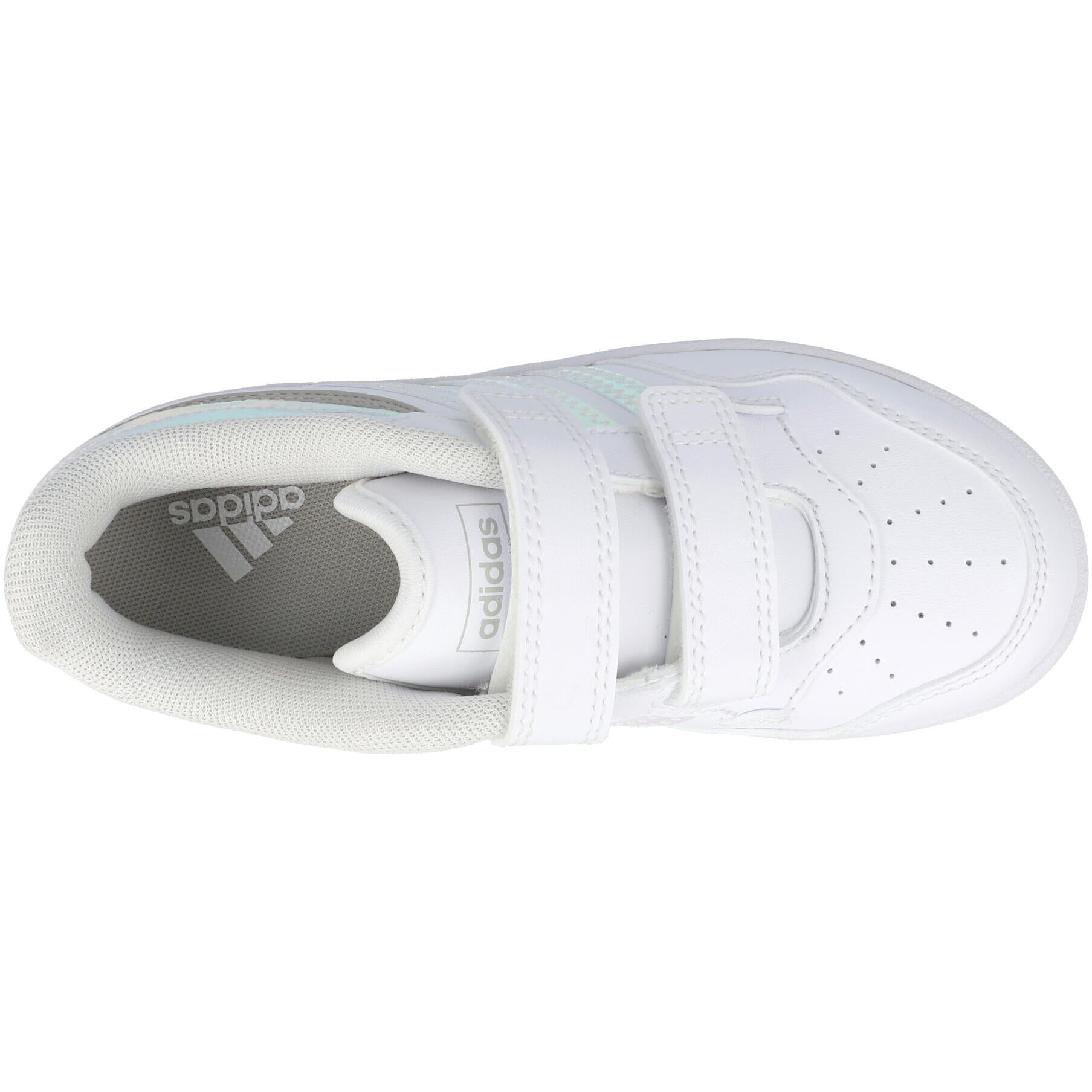 adidas Hoops 4.0 CF C White JQ5240