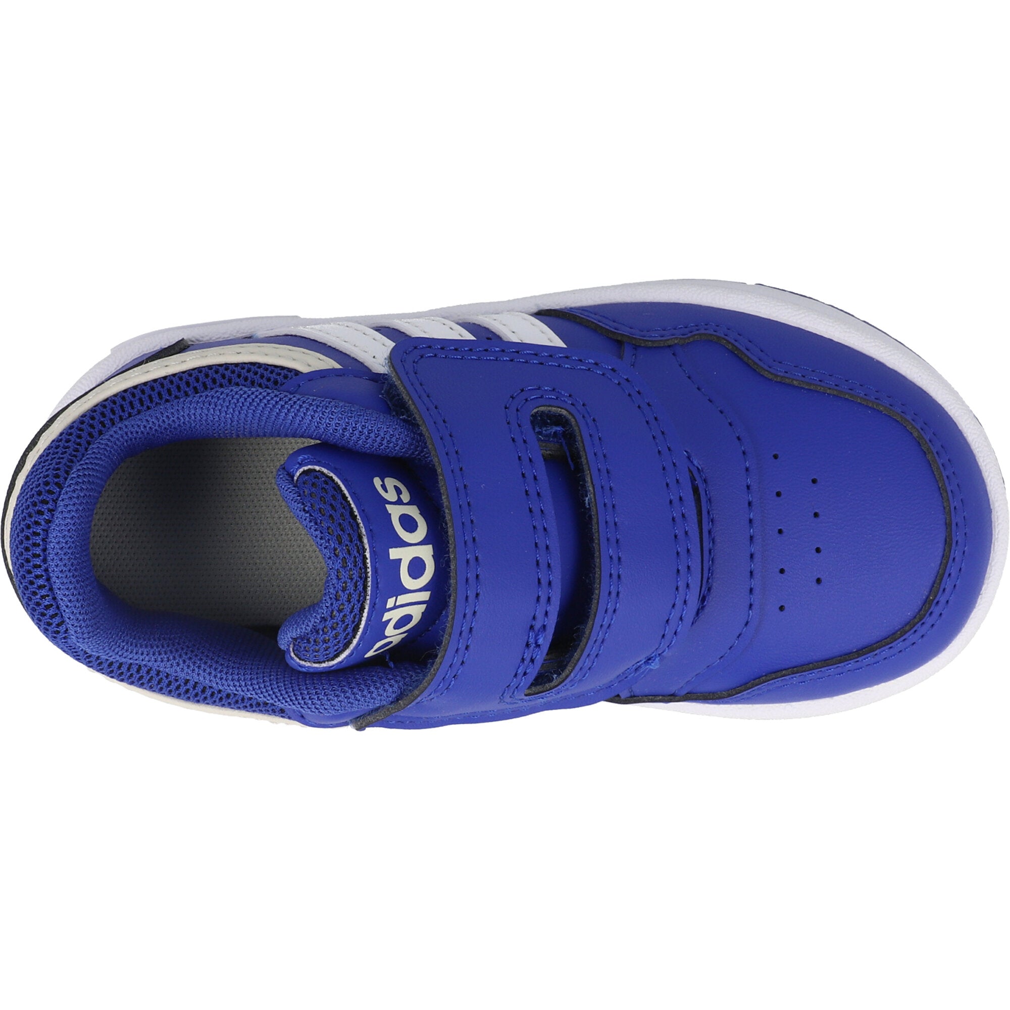 adidas Hoops 3.0 CF Royal Blue Infant Sneakers